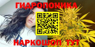 Альфа ПВП Мариинск
