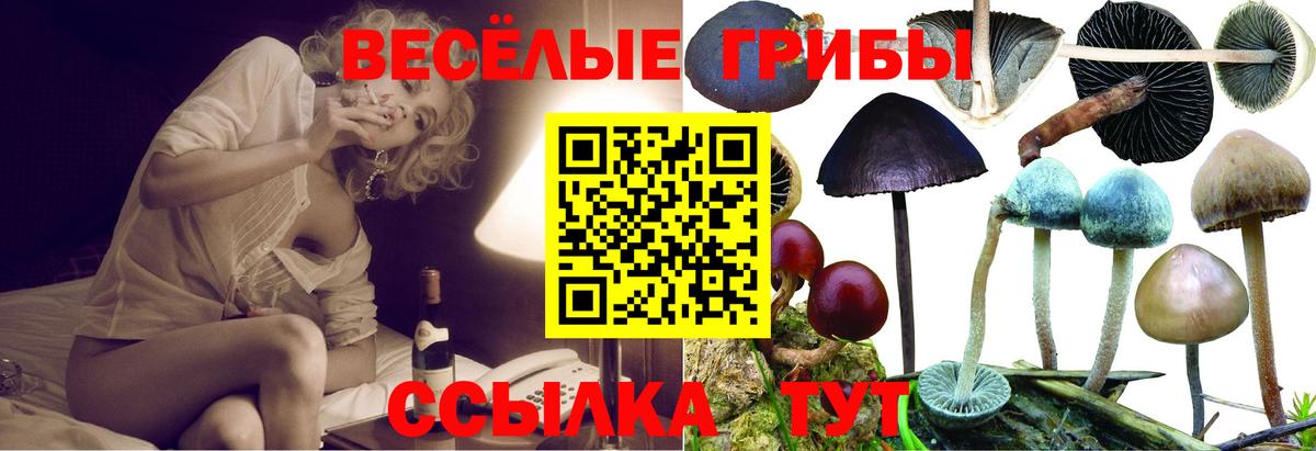 Галлюциногенные грибы мицелий Избербаш